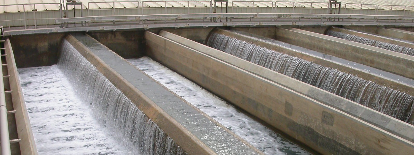 DSCN3769.JPG